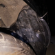 Image for article titled Installing a Trailer Hitch on a Mazda Miata Is Incredibly Easy and Fixes the Car's Biggest Flaw